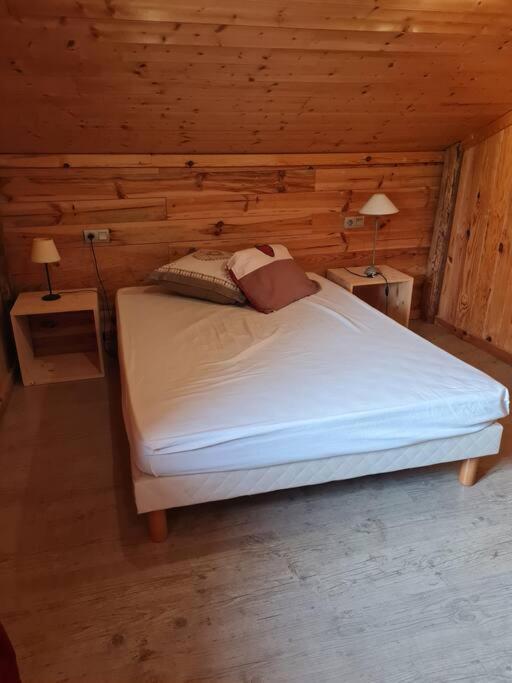 Chalet Familial - Pyrenees, Au Coeur Des 3 Stations La Cabanasse Eksteriør bilde